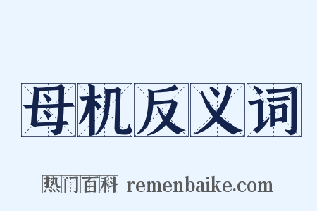 母机反义词是什么意思的图片